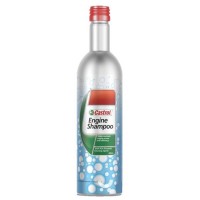 Castrol Engine Shampoo tepimo sistemos ploviklis 300ml
